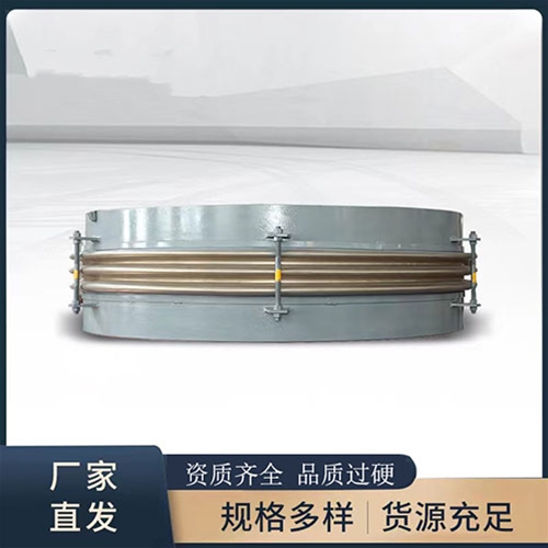 補（bǔ）償（cháng）器